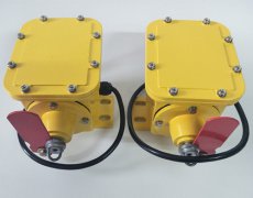防撕裂開關ZL2-B-II-1000-35°縱向撕裂開關 防撕裂開關ZL2-B-II-1000-35°縱向撕裂開關
