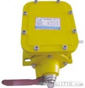 THZL-B-II縱向撕裂開關(guān)，撕裂檢測裝置，批發(fā)工程案例